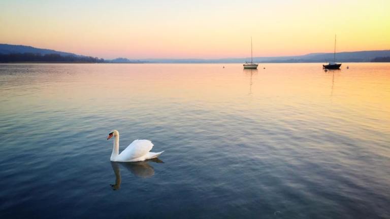 Varese